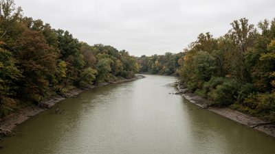 A wide slow river running past wooded banks under overcast light in northwest Ohio