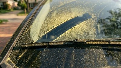 A close-up of a yellow-green film of pollen settled across a dark car windshield and wiper blade in morning light, with a finger-drawn streak through it.