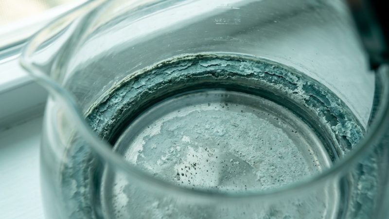 Looking down into a glass kettle at a thick teal and gray-green crust of limescale ringing the rim, with a pale chalky sheet of scale and darker grit across the base under a film of water.